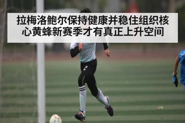 拉梅洛鲍尔保持健康并稳住组织核心黄蜂新赛季才有真正上升空间